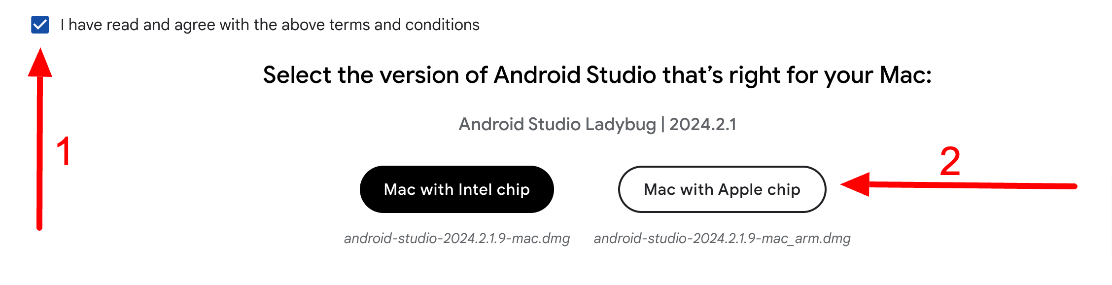 android studio ladybug Terms and Conditions modal